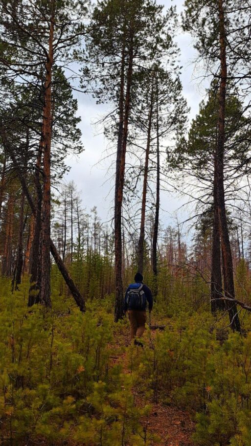 замминистра